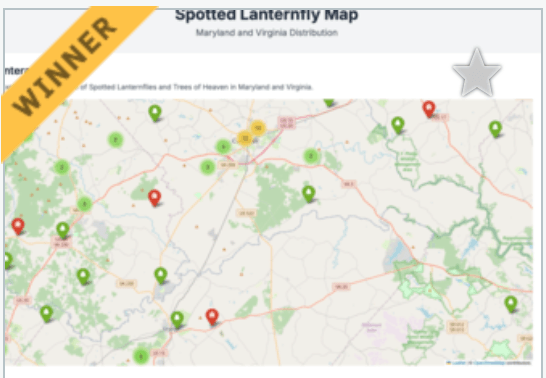 Screenshot of Spotted Lantern Fly